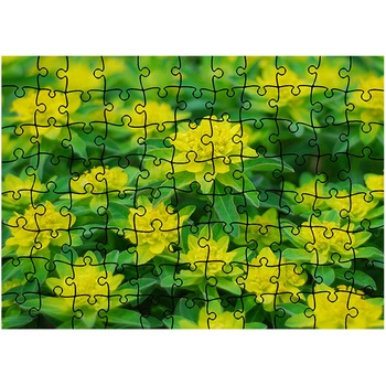 Puzzle Heartwork 96 piese, Floricele curioase, Latime 40,5 cm x Inaltime 28,7 cm Puzzle Heartwork 96 piese, Floricele curioase, Latime 40,5 cm x Inaltime 28,7 cm