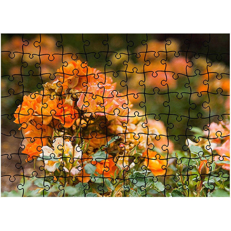 Puzzle Heartwork 96 piese, Trandafiri salbatici, Peisaje, Latime 40,5 cm x Inaltime 28,7 cm
