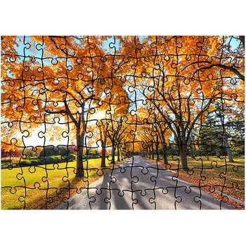 Puzzle Heartwork 96 piese, Umbre de copaci, Peisaje, Latime 40,5 cm x Inaltime 28,7 cm Puzzle Heartwork 96 piese, Umbre de copaci, Peisaje, Latime 40,5 cm x Inaltime 28,7 cm