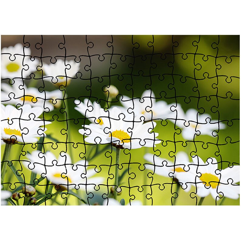 Puzzle Heartwork 96 piese, Flori de musetel, Peisaje, Latime 40,5 cm x Inaltime 28,7 cm