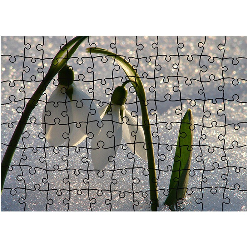 Puzzle Heartwork 96 piese, Doi Frati, Peisaje, Latime 40,5 cm x Inaltime 28,7 cm