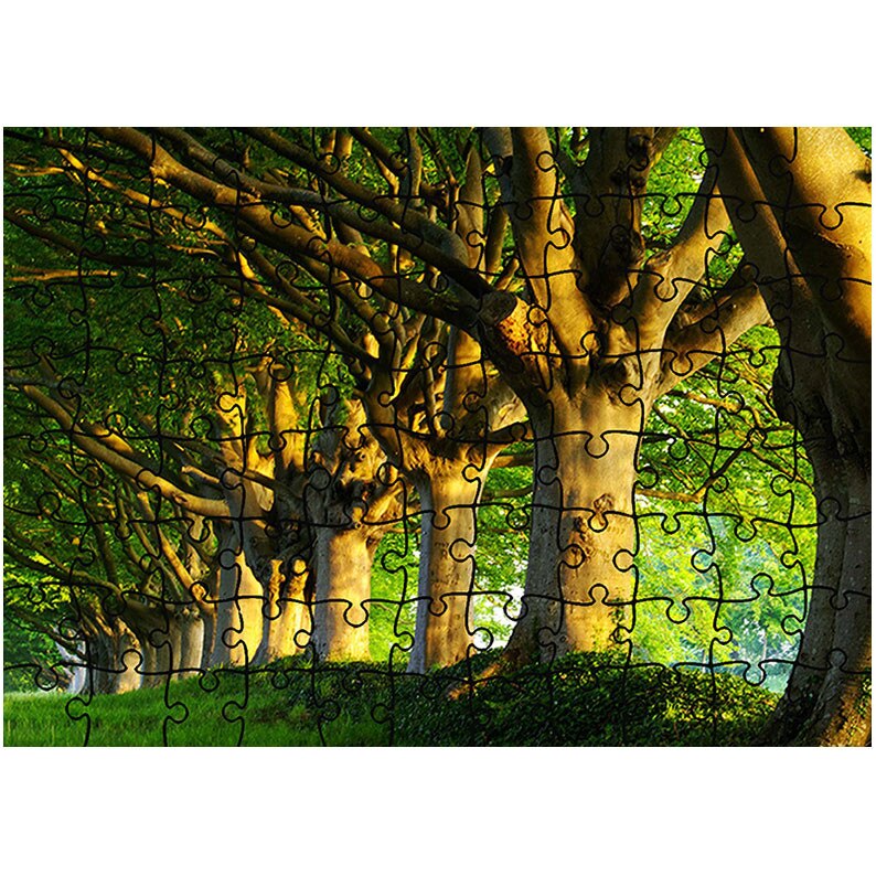 Puzzle Heartwork 96 piese, Trunchiuri in linie, Peisaje, Latime 40,5 cm x Inaltime 28,7 cm
