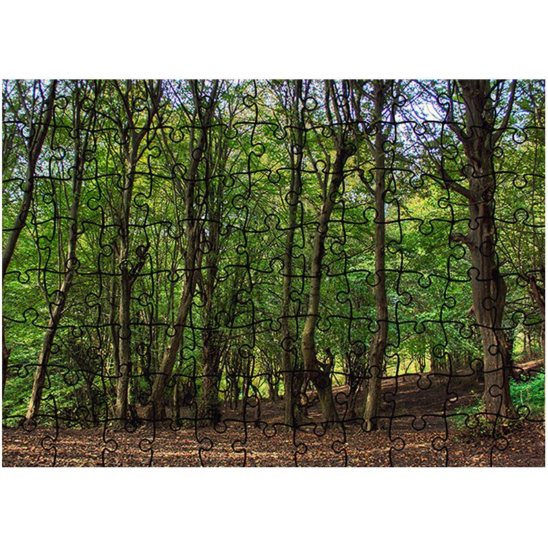 Puzzle Heartwork 96 piese, Trunchiuri, Peisaje, Latime 40,5 cm x Inaltime 28,7 cm