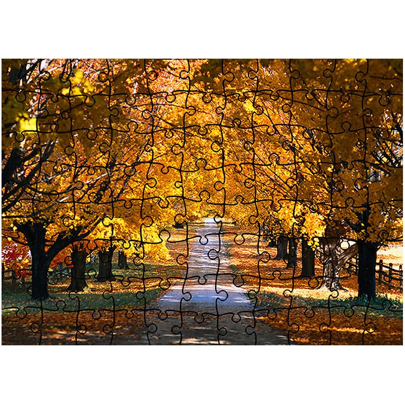 Puzzle Heartwork 96 piese, Sosea in valuri, Peisaje, Latime 40,5 cm x Inaltime 28,7 cm