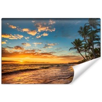 fototapet plaja 450cm x 300cm mare dune apus de soare 3d imagen 4_0_
0