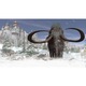 Joc Syberia 2 Code in a box Pentru Nintendo Switch