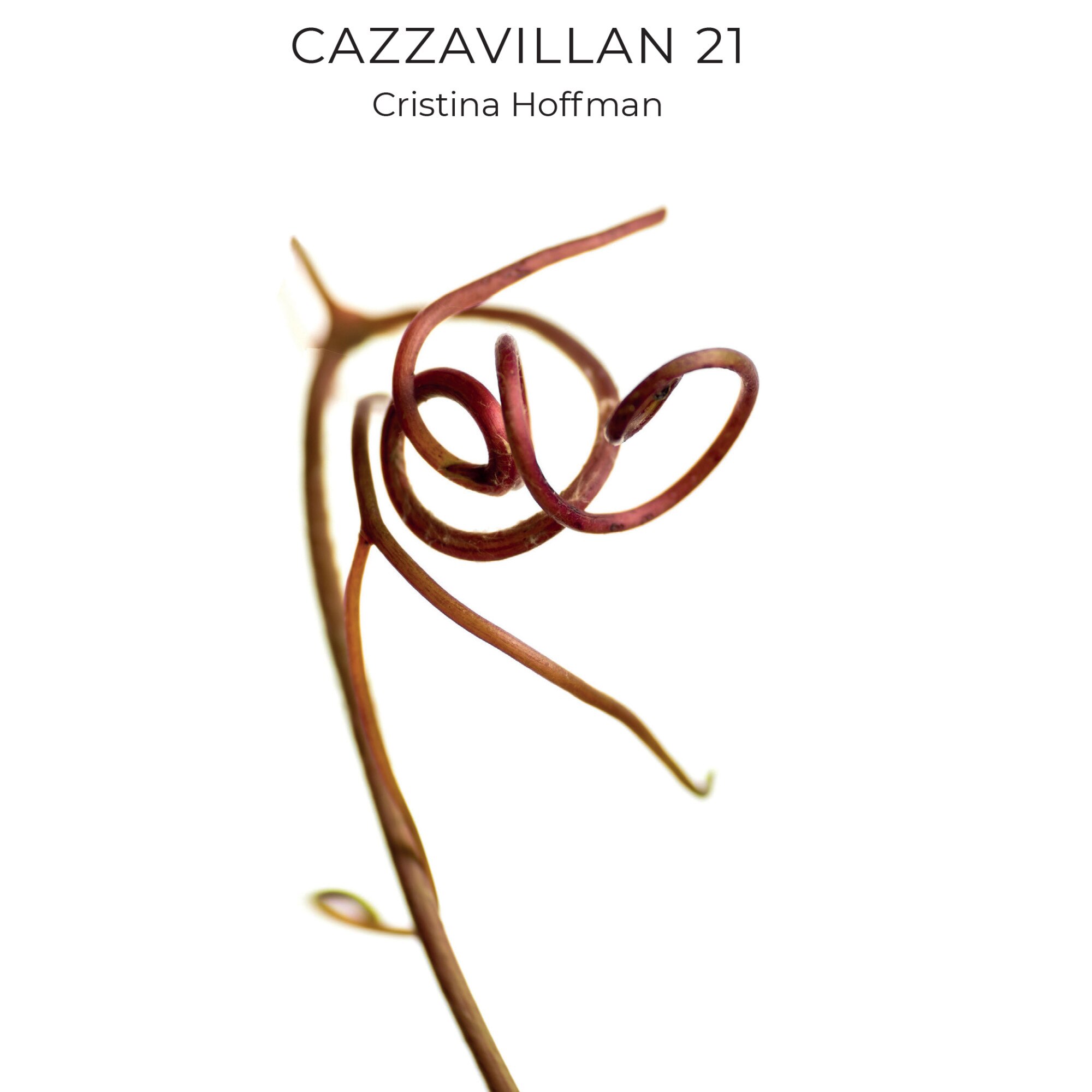 Cazzavillan 21 - Cristina Hoffman