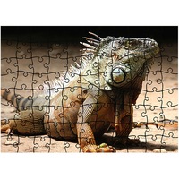puzzle art factory 96 piese ignuana animal de companie animale latime 405 cm x inaltime 287 cm imagen 4_0_
0