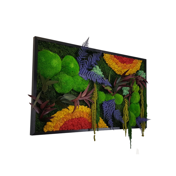 Tablou licheni, muschi si plante naturale stabilizate, Jolie Arts, Model Curcubeu clasic, dimensiune 60 x 100 cm