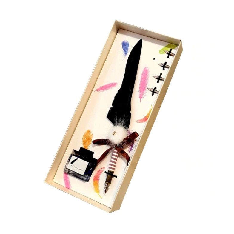 Set caligrafie cu pana neagara, 5 penite si calimara cu cerneala albastra