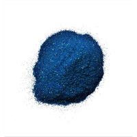 pigment holografic blue flakes - 104 perle pigmenti plic 25 grame pentru vopsea auto rasina epoxidica plastidip lac de unghii balsamuri prelucrarea lemnului sapun natural de baie imagen 27_0_
0