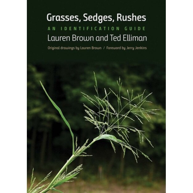 Grasses, Sedges, Rushes: An Identification Guide, Lauren Brown (Author)