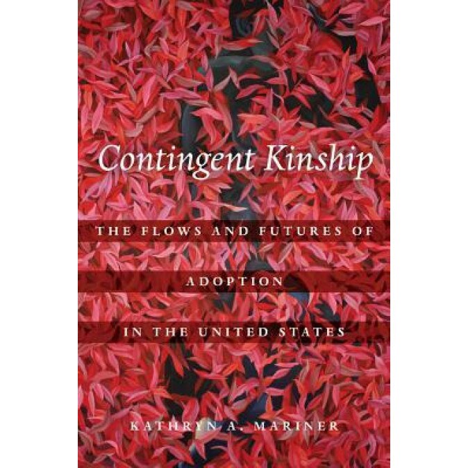 Contingent Kinship: The Flows and Futures of Adoption in the United States, Kathryn A. Mariner (Author)