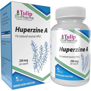 Huperzina A, Tulip Biopharma, Nootrop pentru imbunatatirea activitatii cerebrale, 250 mcg, 120 Capsule Huperzina A, Tulip Biopharma, Nootrop pentru imbunatatirea activitatii cerebrale, 250 mcg, 120 Capsule