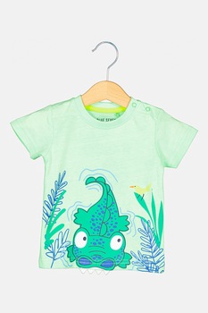 Blue Seven, Set de tricou cu maneca scurta si pantaloni scurti, 2 piese, baieti, cu imprimeu, Verde menta/Albastru inchis/Alb Blue Seven, Set de tricou cu maneca scurta si pantaloni scurti, 2 piese, baieti, cu imprimeu, Verde menta/Albastru inchis/Alb