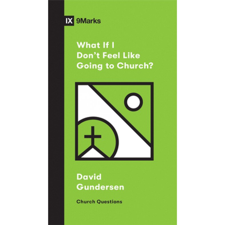What If I Don't Feel Like Going to Church?, David Gundersen (Author)