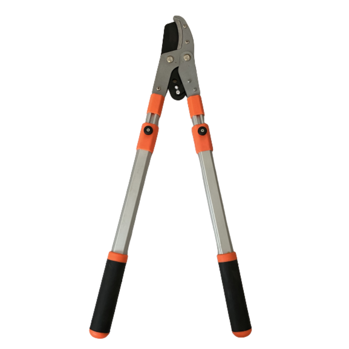 Foarfeca extensibila pentru pomi
