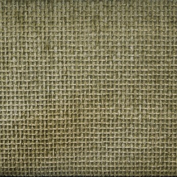 Stofa de mobila Raina, Verde 2/1, latime 170 cm Stofa de mobila Raina, Verde 2/1, latime 170 cm