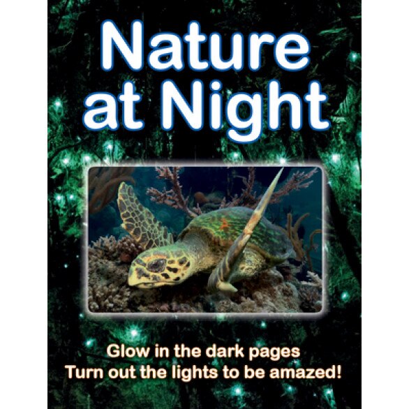 Nature at Night, Lisa Regan (Author)