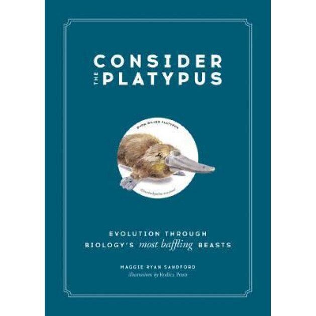 Consider the Platypus: Evolution Through Biology's Most Baffling Beasts, Maggie Ryan Sandford (Author)
