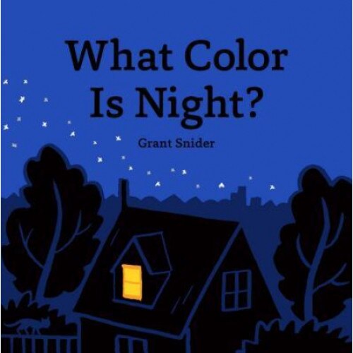 What Color Is Night?, Grant Snider (Author)