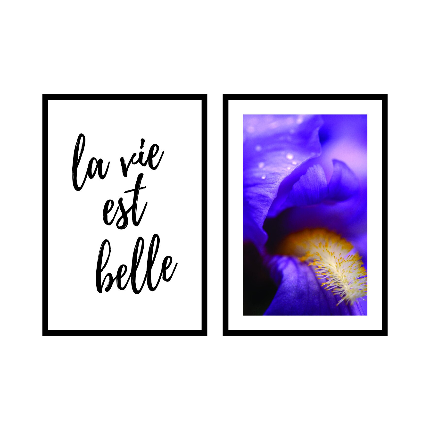 Set 2 tablouri cu rama neagra, passe-partout alb, 