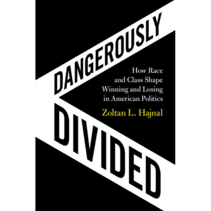 Dangerously Divided: How Race and Class Shape Winning and Losing in American Politics, Zoltan L. Hajnal (Author)