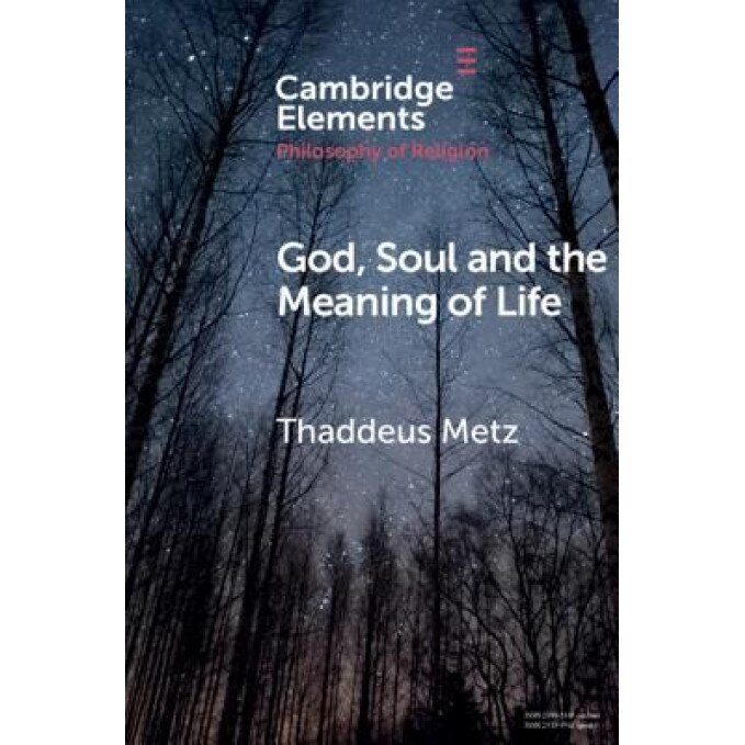 God, Soul and the Meaning of Life, Thaddeus Metz (Author)