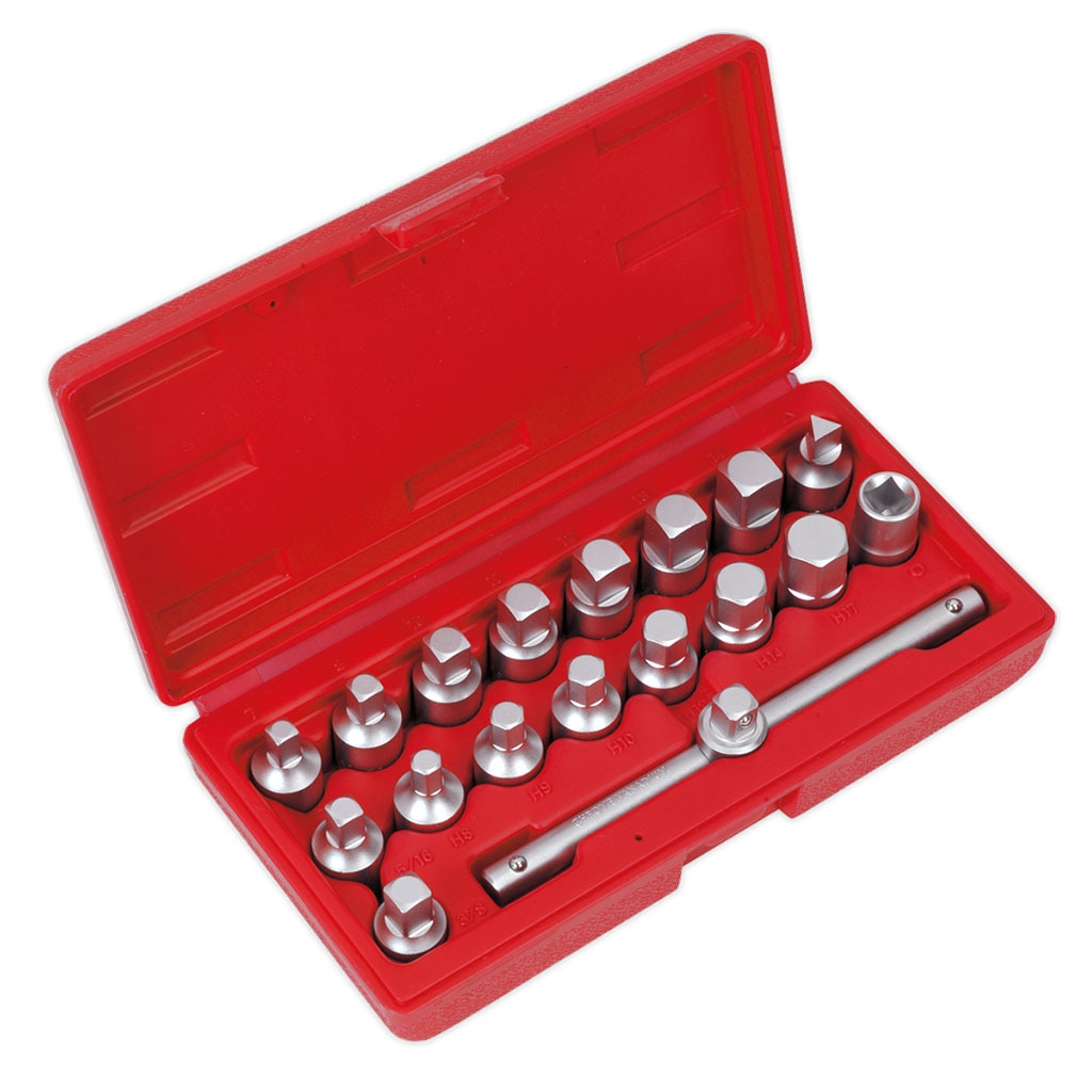 Set pentru busoanele bailor de ulei, 3/8”, 19 piese, Sealey