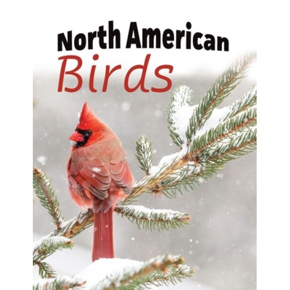 North American Birds, Lasting Happiness (Created by)