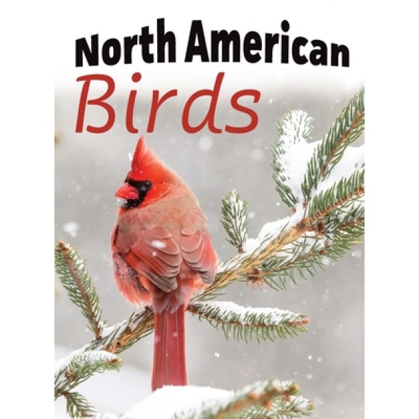 North American Birds, Lasting Happiness (Created by)