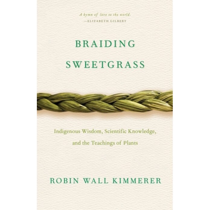 A Year in the Wilderness: Bearing Witness in the Boundary Waters, Amy Freeman (Author)