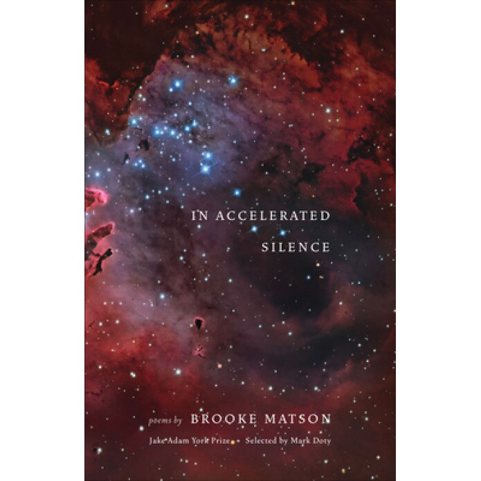 In Accelerated Silence: Poems,