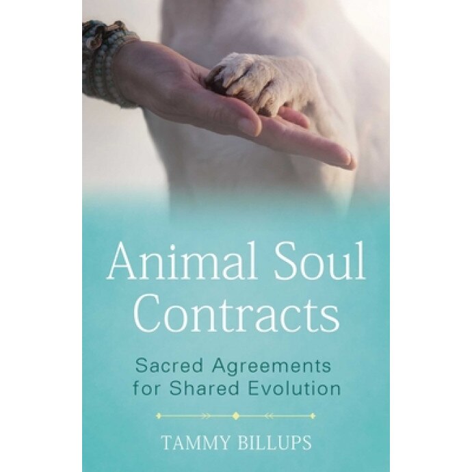 Animal Soul Contracts: Sacred Agreements for Shared Evolution, Tammy Billups (Author)