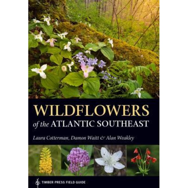 Wildflowers of the Atlantic Southeast, Laura Cotterman (Author)