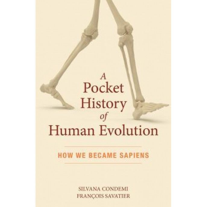 A Pocket History of Human Evolution: How We Became Sapiens, Silvana Condemi (Author)