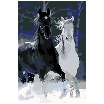 Set pictura pe numere Cai alb si negru, panza bumbac pe rama lemn 40x60 cm Set pictura pe numere Cai alb si negru, panza bumbac pe rama lemn 40x60 cm