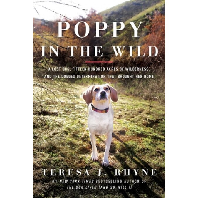 Poppy in the Wild: A Lost Dog, Fifteen Hundred Acres of Wilderness, and the Dogged Determination That Brought Her Home, Teresa J. Rhyne (Author)