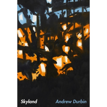 Skyland, Andrew Durbin (Author) Skyland, Andrew Durbin (Author)