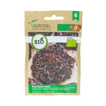 Seminte BIO de salata rosie, Red Salad Bowl - plic 2.5 gr Seminte BIO de salata rosie, Red Salad Bowl - plic 2.5 gr