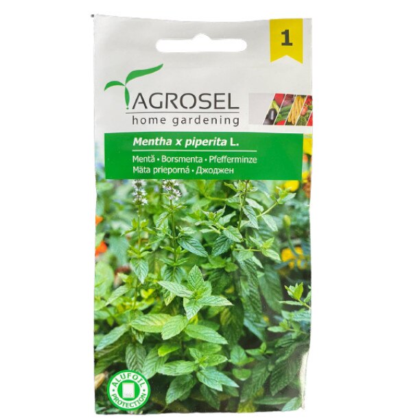 Seminte de menta, la plic - 0.10 gr