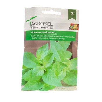 Seminte busuioc lamaios, Agrosel - 1 gr Seminte busuioc lamaios, Agrosel - 1 gr