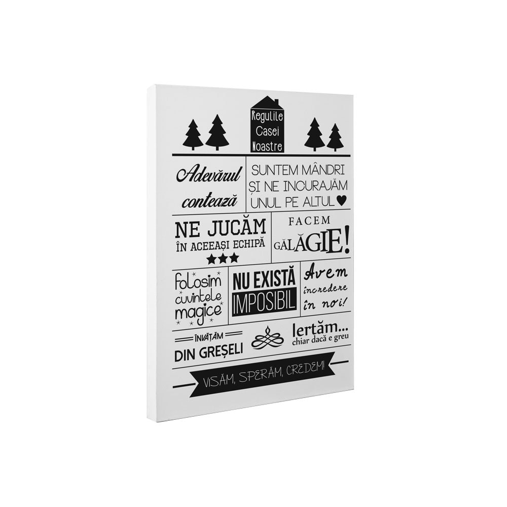 Regulile casei noastre - Tablou Canvas - 50x65 cm