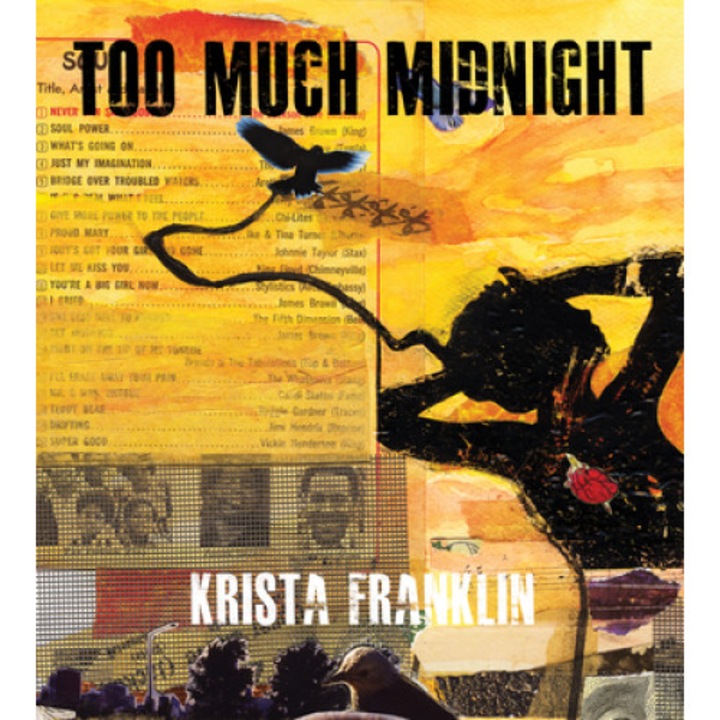 Too Much Midnight, Krista Franklin (Author)