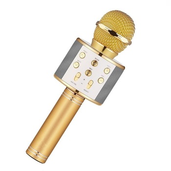Microfon Karaoke de copii Wireless RLN Electronics™, Boxa integrata, Card SD, multifunctional, stereo, Gold