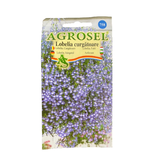 Seminte lobelia curgatoare, la plic, Agrosel - 0.3 gr
