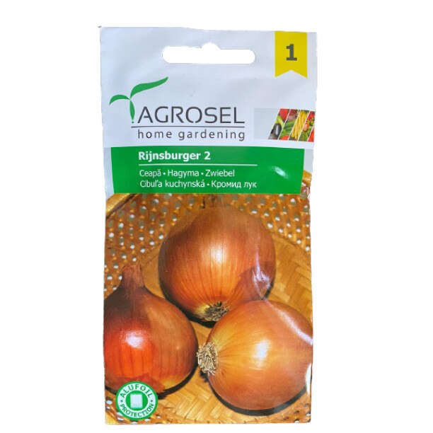 Seminte ceapa Rijnsburger semitimpurie, Agrosel - plic 2 gr