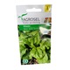 Seminte spanac, Matador, Agrosel - plic 4 gr