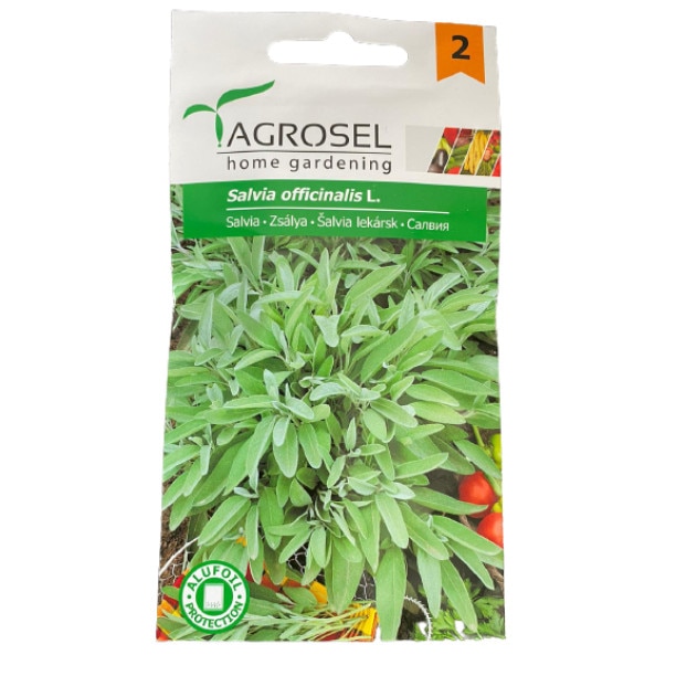 Seminte salvia, Salvia Officinalis, la plic, Agrosel - 2.5 gr