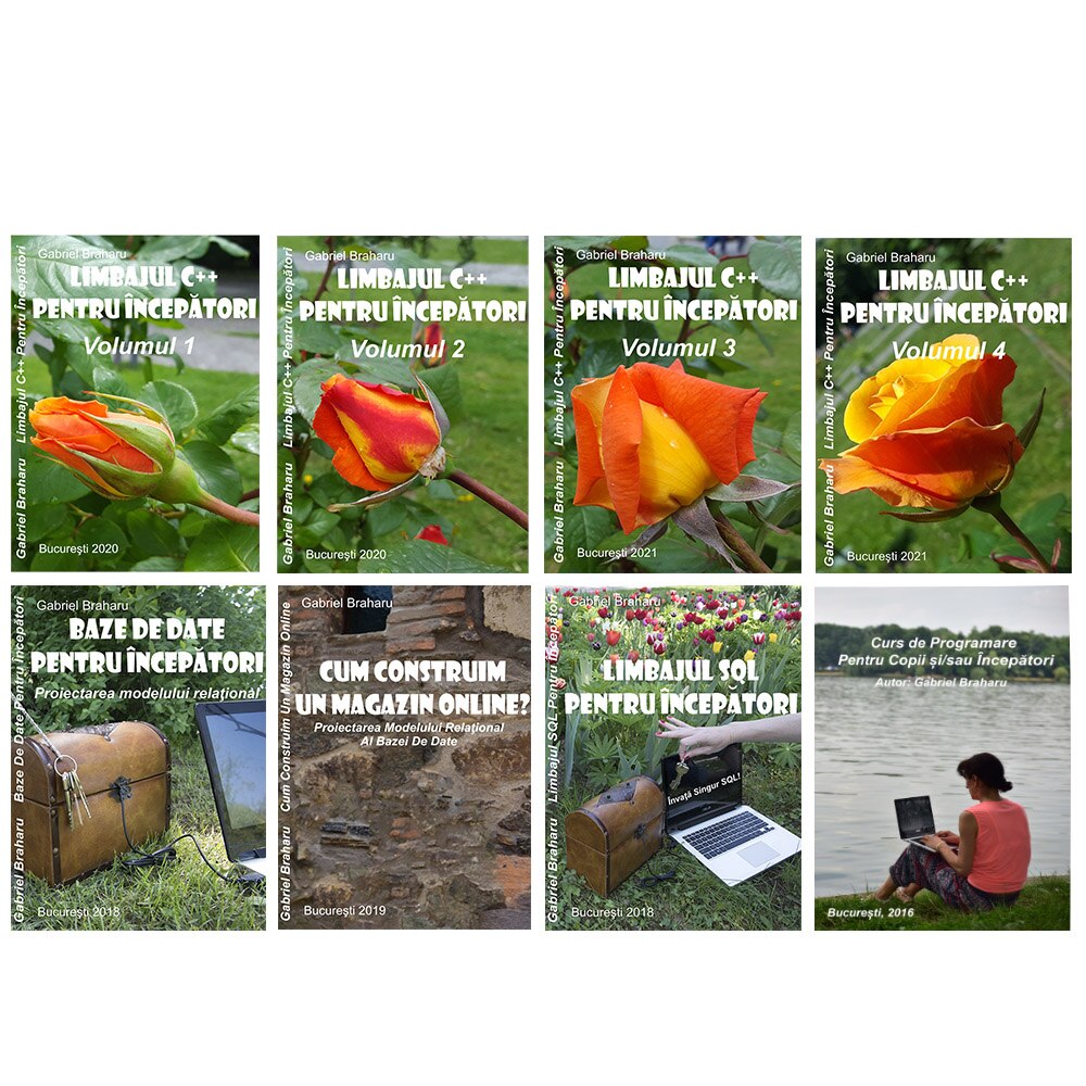 Set de 8 Carti Programare Incepatori (3), Gabriel Braharu, Colectia 